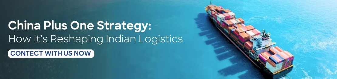 China Plus One Strategy